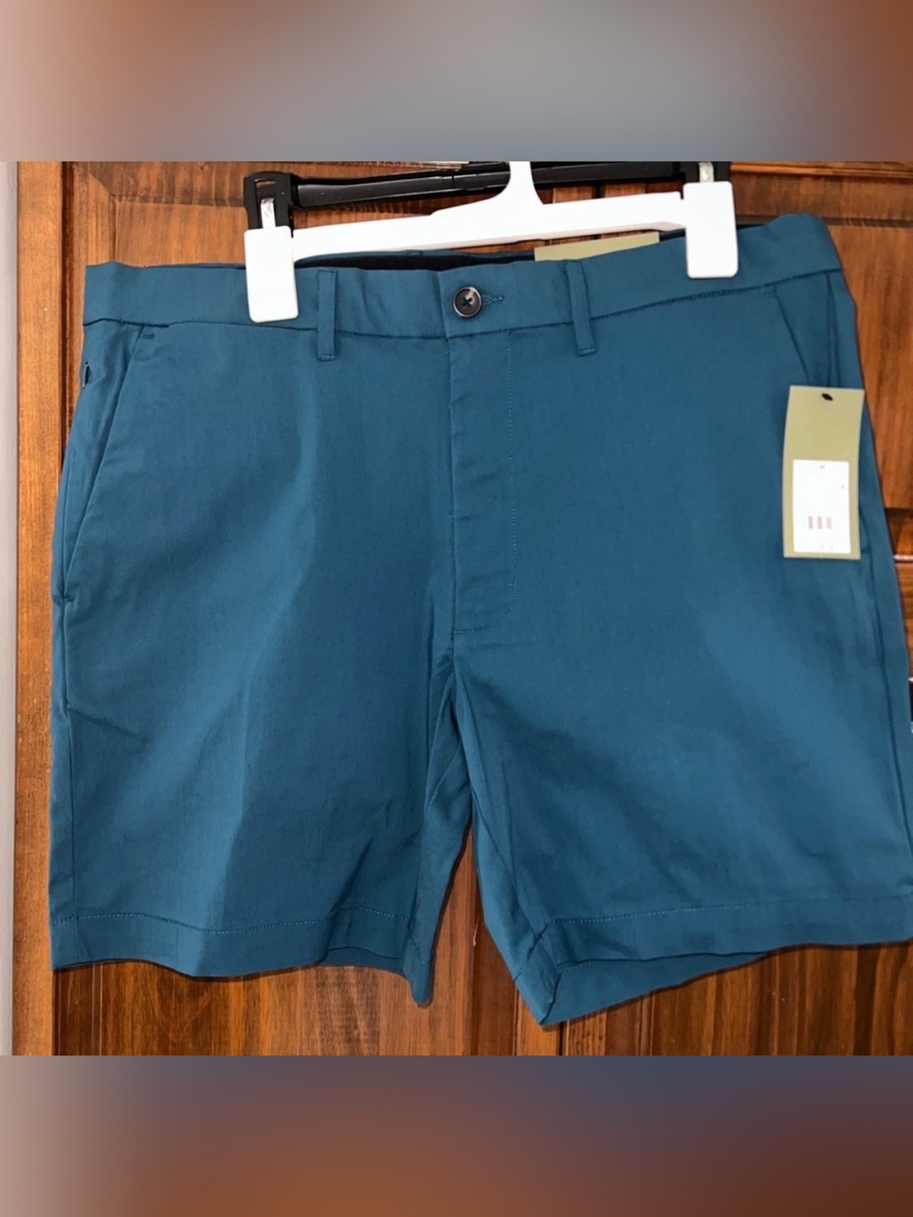 Goodfellow & Co Teal Tech Men's Shorts